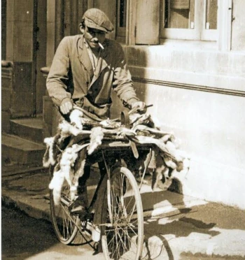 Colporteur à vélo avec ses peaux de lapins &agrave; Th&eacute;rondel