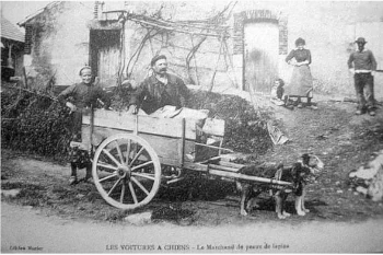 Colporteur avec une carriole attlée à un chien